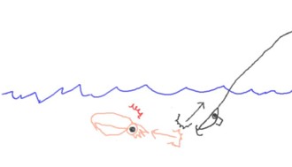 イカの絵2.jpg